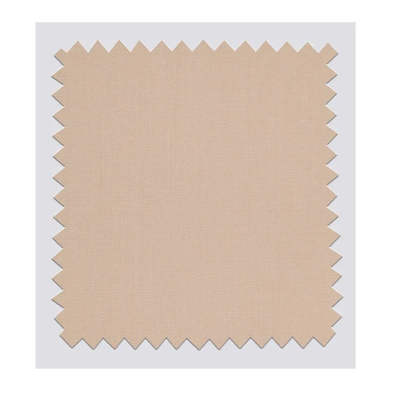 21*21 Polyester Transmitting 21*21 Polyester Transmitting